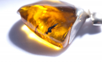 Dominikánská republika